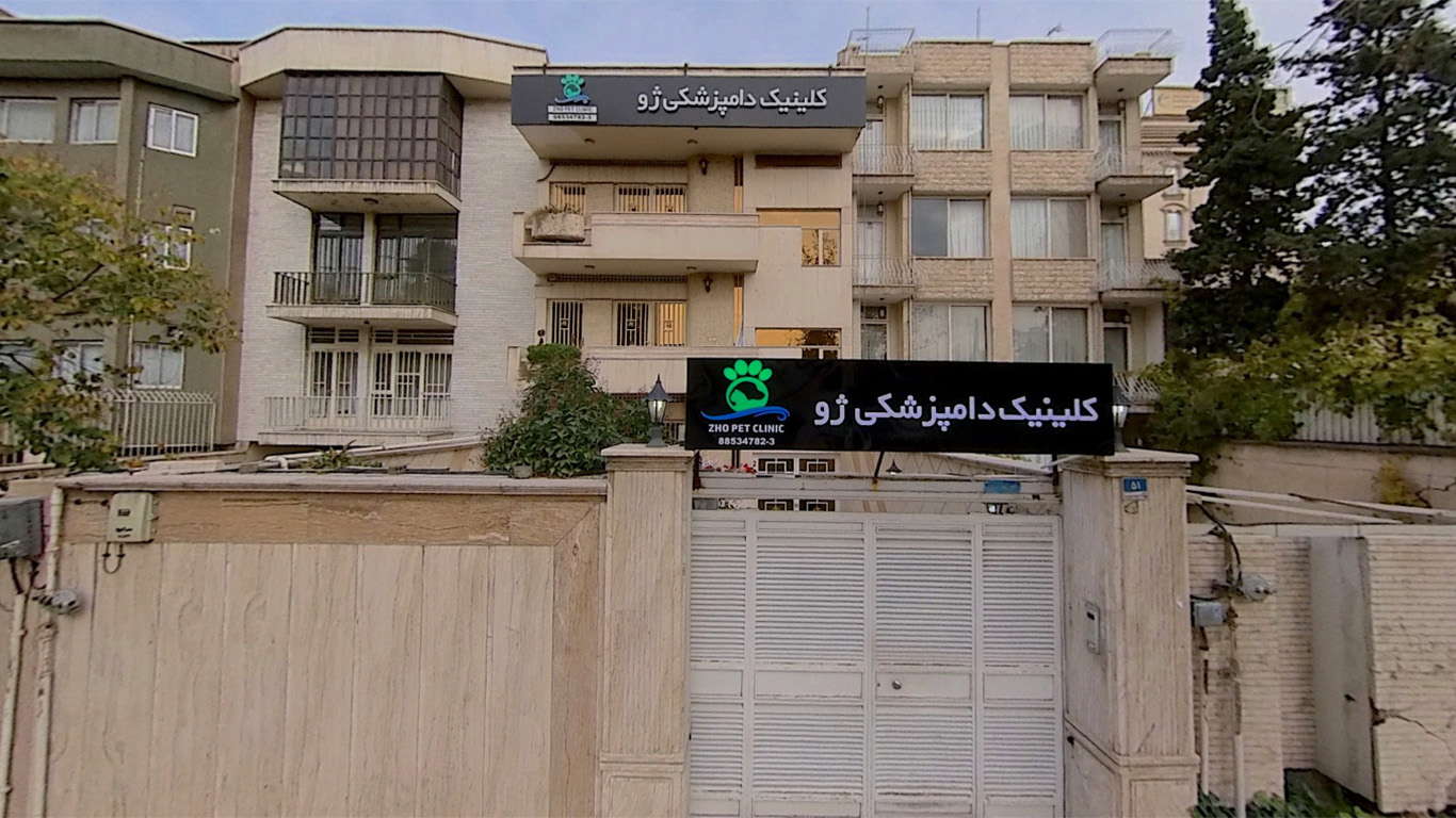 کلینیک-ژو